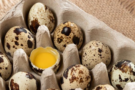 Quail eggs in cardboard packaging on a wooden table close-up.