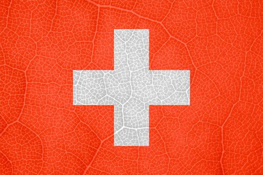 Swiss flag on the structure of a tree leaf macro. High quality photo