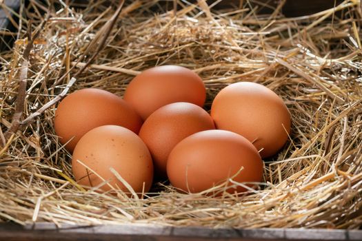 Several raw fresh chicken eggs in a nest of hay on a wooden background.