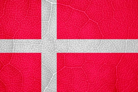 flag of Denmark on the structure of a tree leaf macro. High quality photo