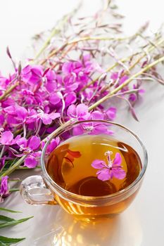 Fireweed herb known as blooming sally and tea in a cup, vertical