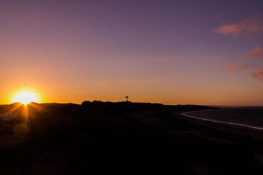 Natural Sunset Sunrise over a beach with birds at the sun, australia