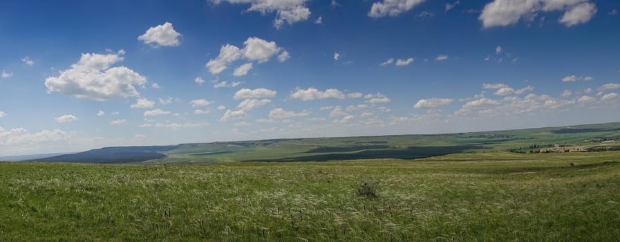 Panorama of the steppe landscape with grass and grass under the blue sky.