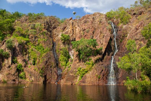 beautiful wangi waterfalls in litchfield national park