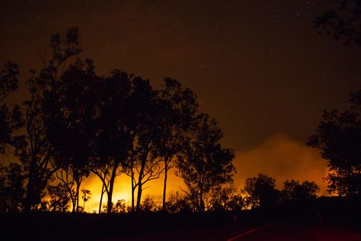 car driving away from a bushfire, forest are really bright because of the fire, litchfield national park, australia