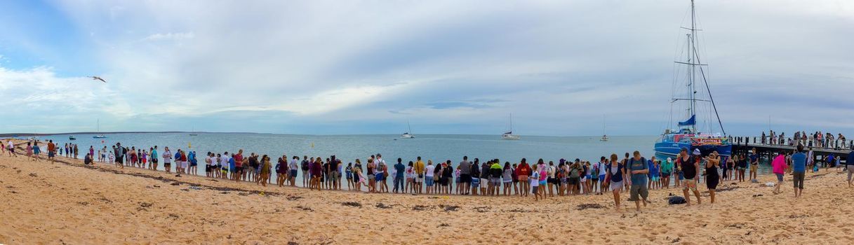 Monkey Mia, Australia - April 15, 2015- line of tourists at monkey mia beach, everybody is waiting for the wild dolphins to arrive. wild dolphins near the shore get in touch with humans