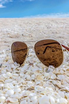 Sonnenbrille an einem Strand voller Muscheln