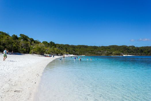 Lake Mackenzie on Fraser Island off the Sunshine of Queensland is a beautiful freshwater lake popular with tourists who visit Fraser Island. Queensland, Australia.