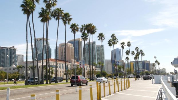 SAN DIEGO, CALIFORNIA USA - 30 JAN 2020: County civic center in downtown. Urban skyline of Gaslamp Quarter. Cityscape of metropolis, pacific harbour waterfront with palm trees. Cars drive on road.