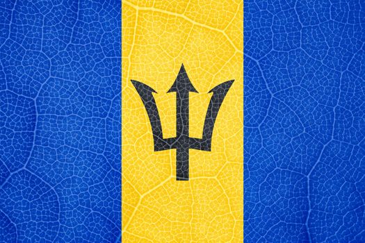 the flag of Barbados on the structure of a tree leaf macro. High quality photo