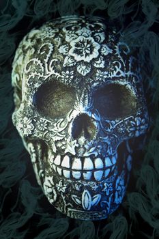 False bone skull on black background. Copy space