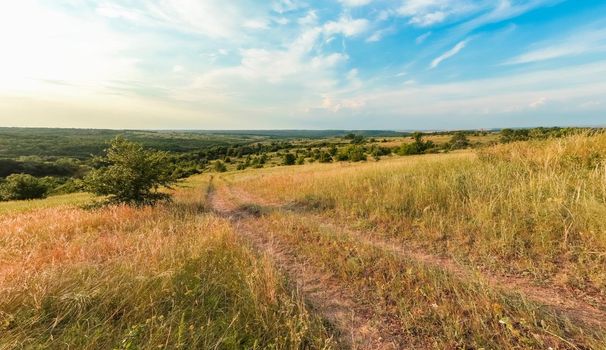 A large green field with trees in the background. the road that goes into the distance. High quality photo