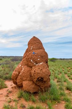 Termite Mound in Western Australia Dessert