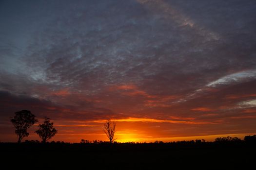 once in a lifetime sunset in Australia with silhouettes of trees, Cobram, Victoria.