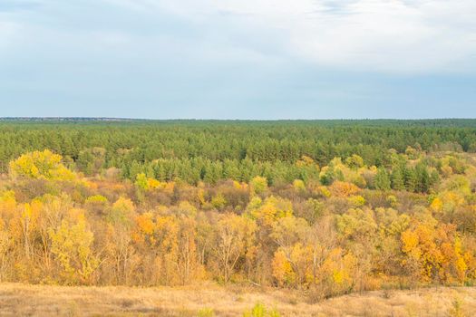 autumn forest landscape with blue sky background. High quality photo