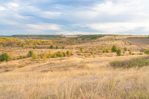 autumn forest landscape with blue sky background. High quality photo