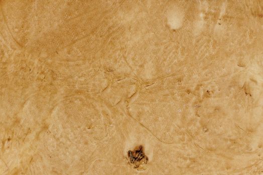 Brown vintage paper with a damaged surface and a burnt spot at the bottom.Texture or background