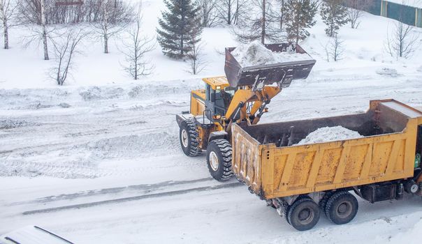 Big yellow tractor cleans up snow from the road and loads it into the truck. Cleaning and cleaning of roads in the city from snow in winter