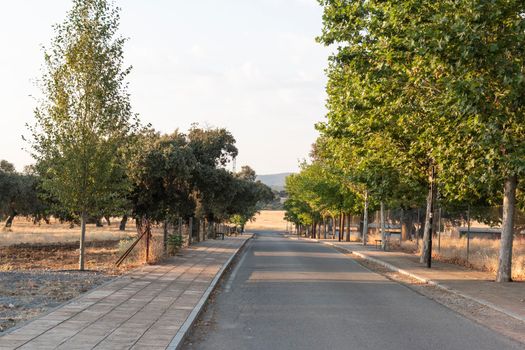 Beautiful couples, fields and landscapes of the Cordoba mountains in Spain. Photograph taken in the month of July.