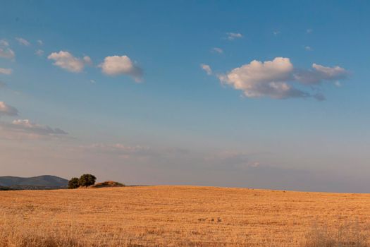 Beautiful couples, fields and landscapes of the Cordoba mountains in Spain. Photograph taken in the month of July.