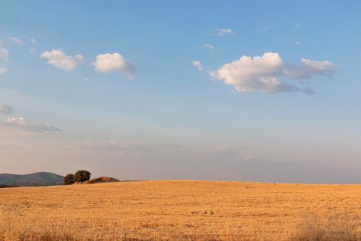 Beautiful couples, fields and landscapes of the Cordoba mountains in Spain. Photograph taken in the month of July.