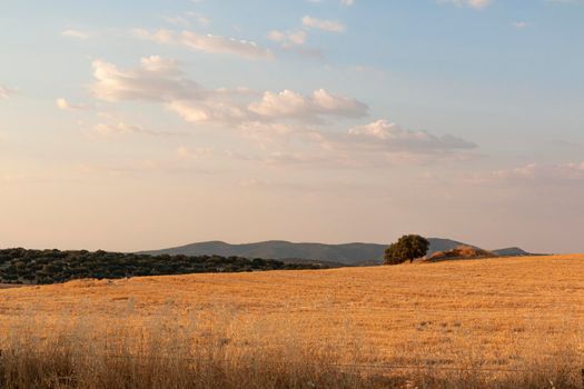 Beautiful couples, fields and landscapes of the Cordoba mountains in Spain. Photograph taken in the month of July.