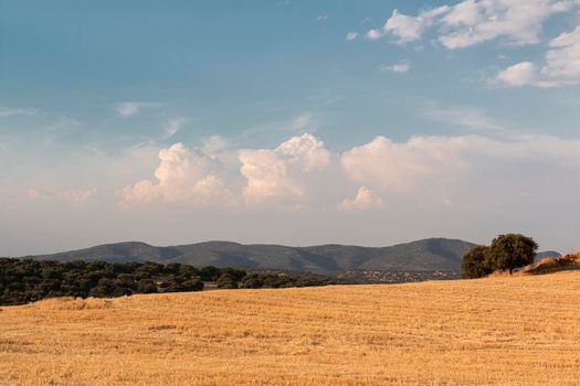 Beautiful couples, fields and landscapes of the Cordoba mountains in Spain. Photograph taken in the month of July.