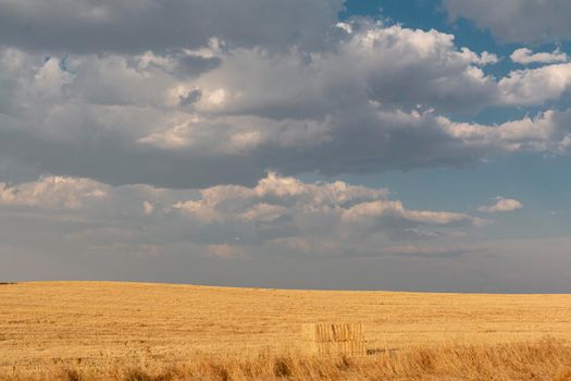 Beautiful couples, fields and landscapes of the Cordoba mountains in Spain. Photograph taken in the month of July.