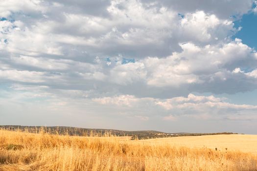 Beautiful couples, fields and landscapes of the Cordoba mountains in Spain. Photograph taken in the month of July.