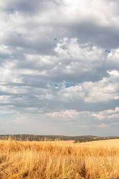 Beautiful couples, fields and landscapes of the Cordoba mountains in Spain. Photograph taken in the month of July.