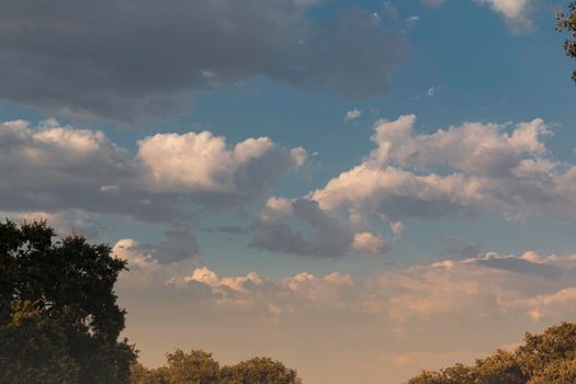 Beautiful couples, fields and landscapes of the Cordoba mountains in Spain. Photograph taken in the month of July.