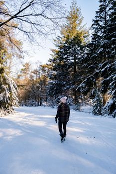  woman mid age walking in the snow, snow covered hills of the Sallandse Heuvelrug, Landscapes of the Holterberg near Holten, The Netherlands. Winter in the Netherlands