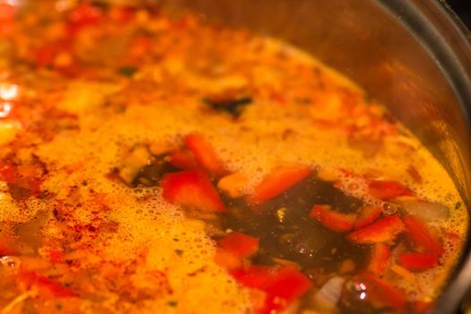 Preparation of soup with chicken and vegetables. Close up of boiling soup.