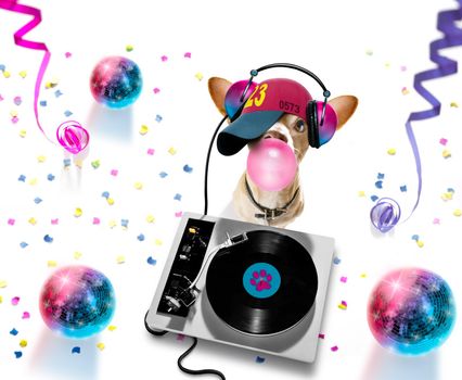 chihuahua  dog playing music in a club with disco ball , isolated on white background, with vinyl record