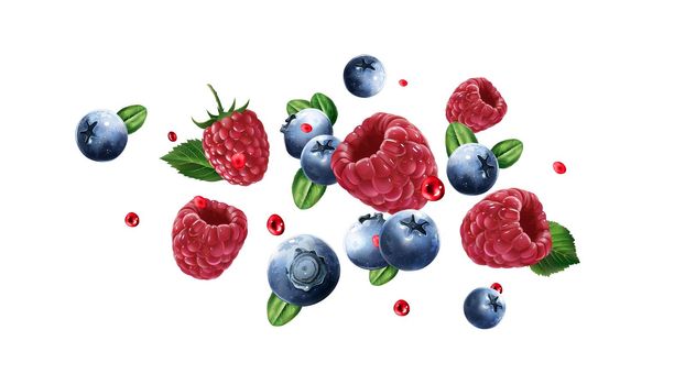 Raspberry and blueberry berries with drops of juice scattering in the space. Realistic style illustration.