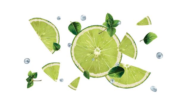 Sliced lime with mint leaves and water droplets scatter in different directions. Realistic style illustration.