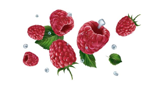 Raspberry berries with leaves and water drops are scattering. Realistic style illustration.