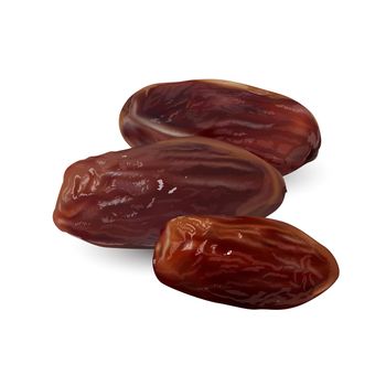 Dried date palm fruits on a white background. Realistic style illustration.