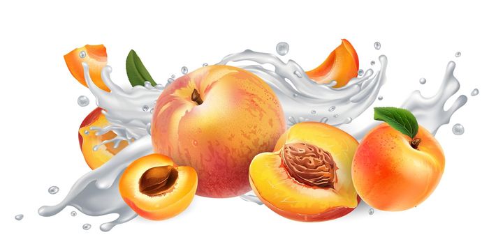 Fresh apricots and peaches in a splash of milk or yogurt on a white background. Realistic style illustration.