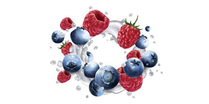 Fresh blueberries and raspberries in milk splashes on a white background. Realistic style illustration.