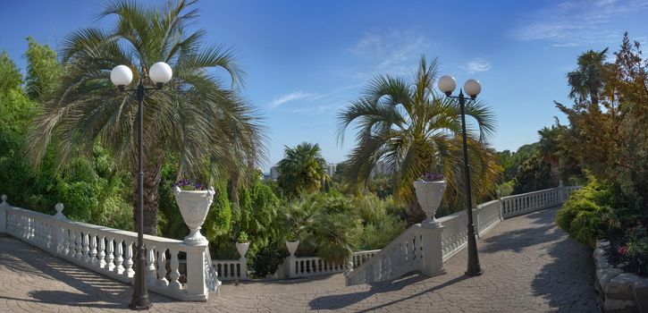 Panorama of the Park of southern cultures in Sochi. Russia, travel and tourism.