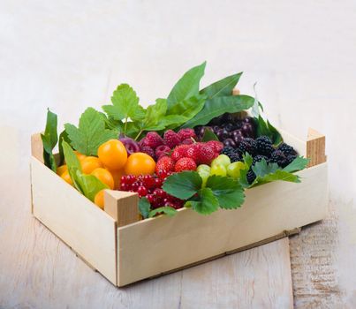 berry mix isolated on a white background.