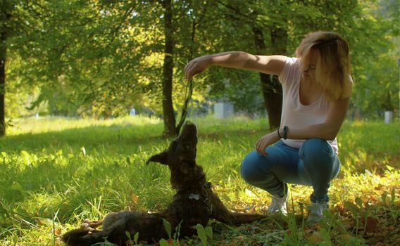 Young attractive lady playing with her dog in the park at summer. Woman throwing a grass on a dog's face. Dog catching a grass.