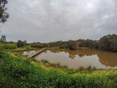 Wetland bridge scene and swamps, australia