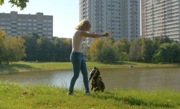 Woman playing with the dog in the park. Dog holding a piece of tissue in the teeth