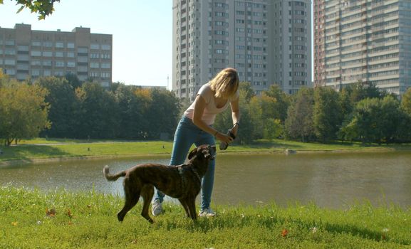 Woman playing with the dog in the park. She is giving a piece of tissue to the dog