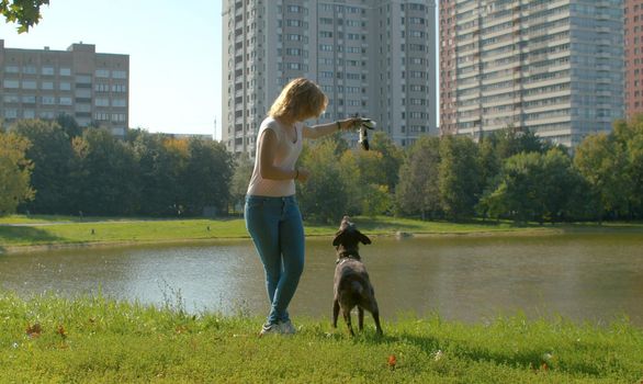 Woman playing with the dog in the park. She is showing a piece of tissue to the dog