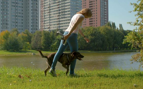 Young dogs trainer with a dog in a park near the lake at summer. Then they doing exercise snake