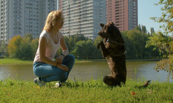 Two friends - attractive young lady and the dog in the park. Dog sitting down on its hind legs.