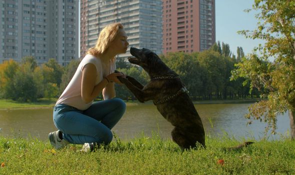 Two friends - attractive young lady and clever nice dog in the park.